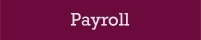 Full details of the payroll services we offer....